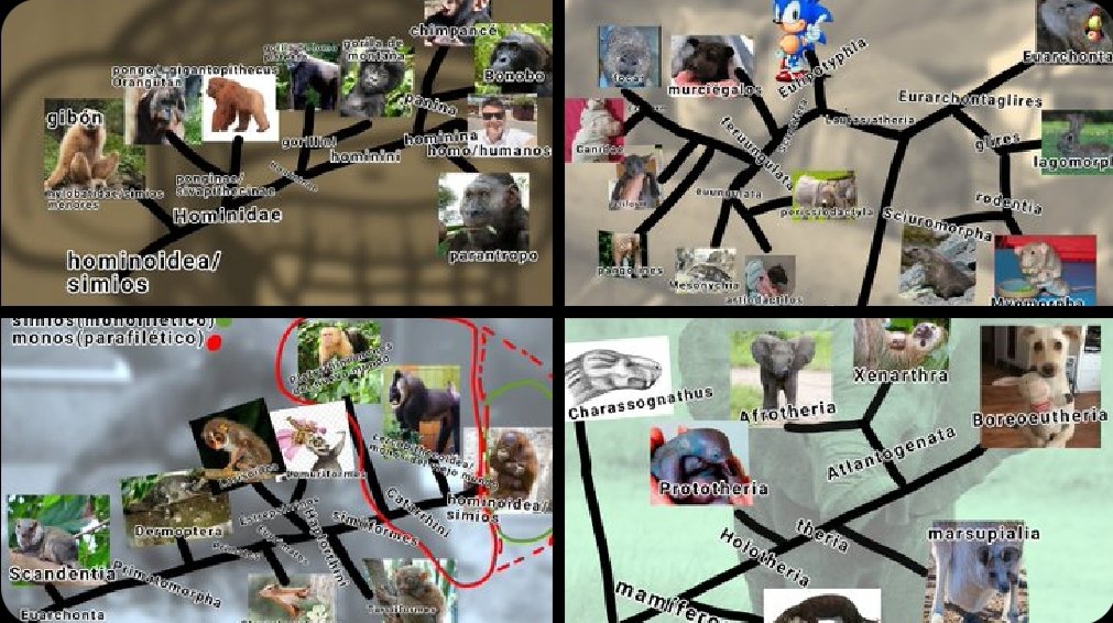 Tiagotubby🇪🇸 tweet media