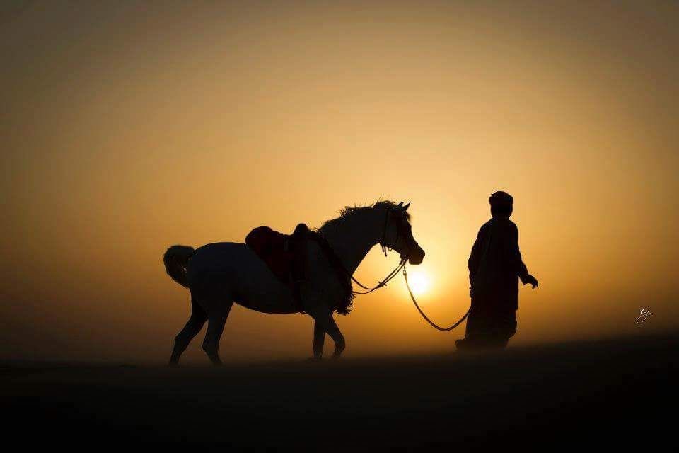 "لا أَبتَغي وصلَ مِن يَبغي مُفارَقَتي
ولا أَلينُ لِمَن لا يَشتَهي ليني."