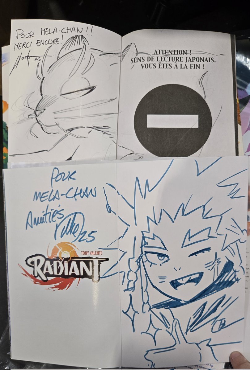 pan_da_ma_ni_ac's tweet photo. - My #RADIANT and #CyfandirChronicles mangas signed by #TonyValente and @naokuren. Merci encore beaucoup beaucoup !

- The goodies I bought on @Mi_eau, Taempest, @Siplick &amp; @ukyopointfr stalls.

- @stark_mcking's artbook ! Merci pour ce week-end !

#JapanExpo #JapanExpo2025 https://t.co/q00gUe7EX9