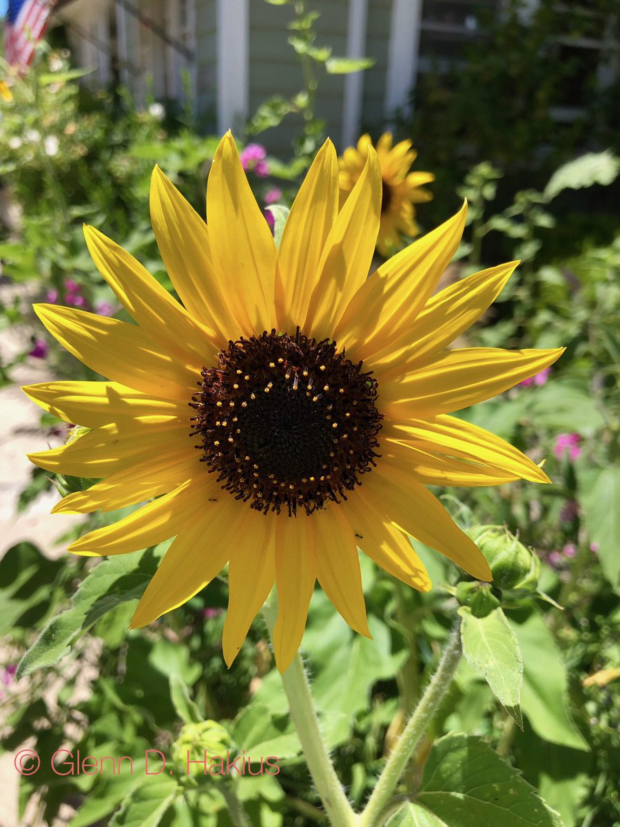GHakius's tweet photo. @MandyLSimard One of my favorites… https://t.co/vqexsdC3EJ