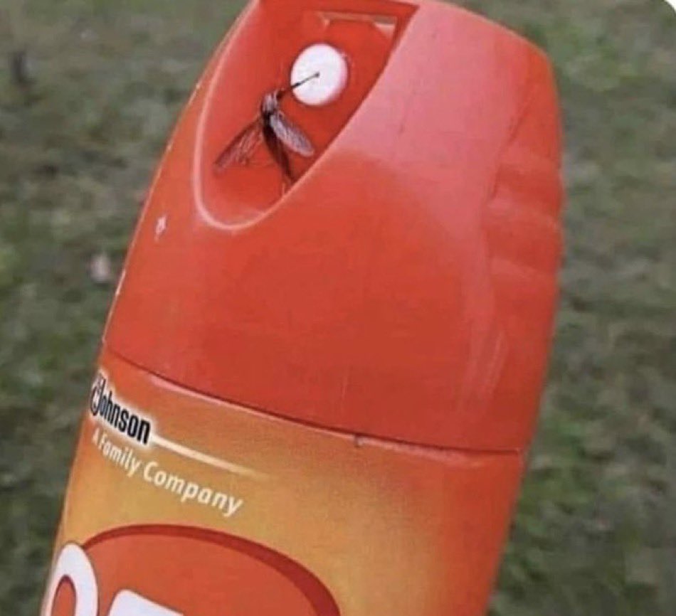 “Just use bug spray” 

Mosquitos in the Midwest: make it a double