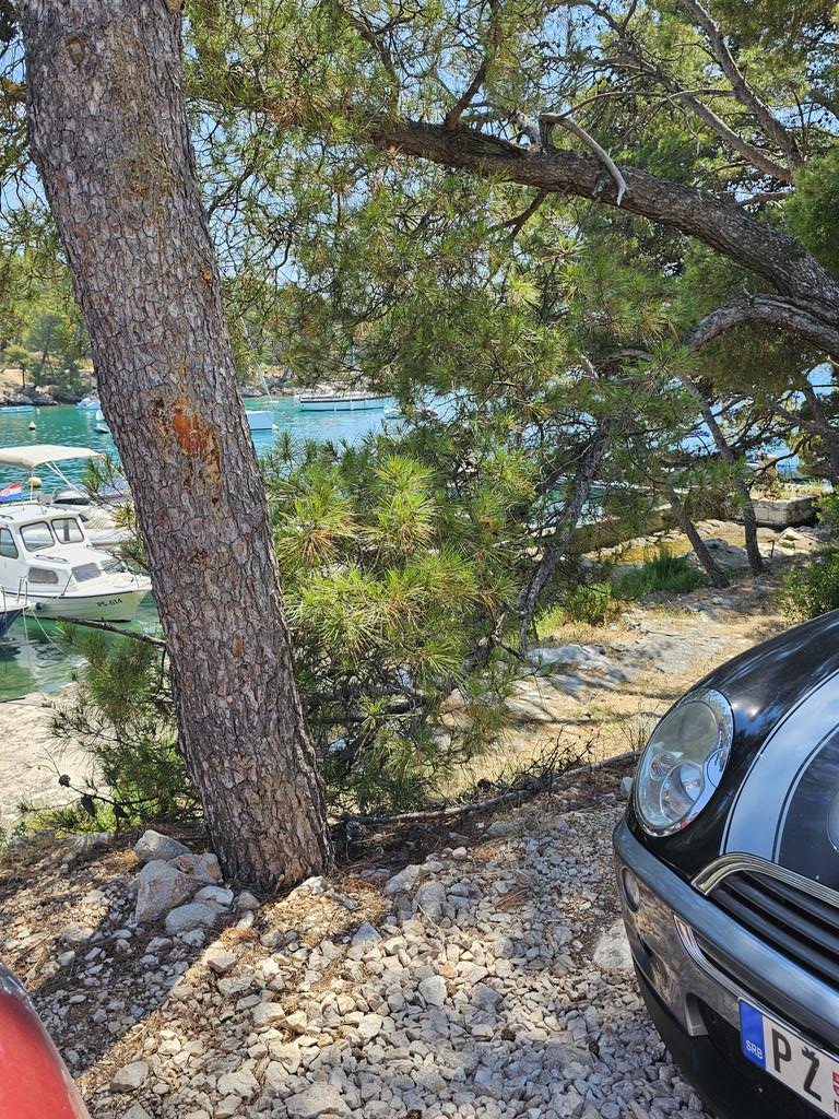 Ima turista💥💥❤️❤️❤️