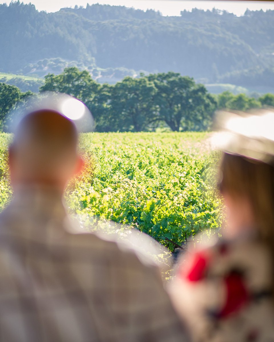 With views like this, the vibes are always high. 🥂 

#NapaValleyWineTrain
