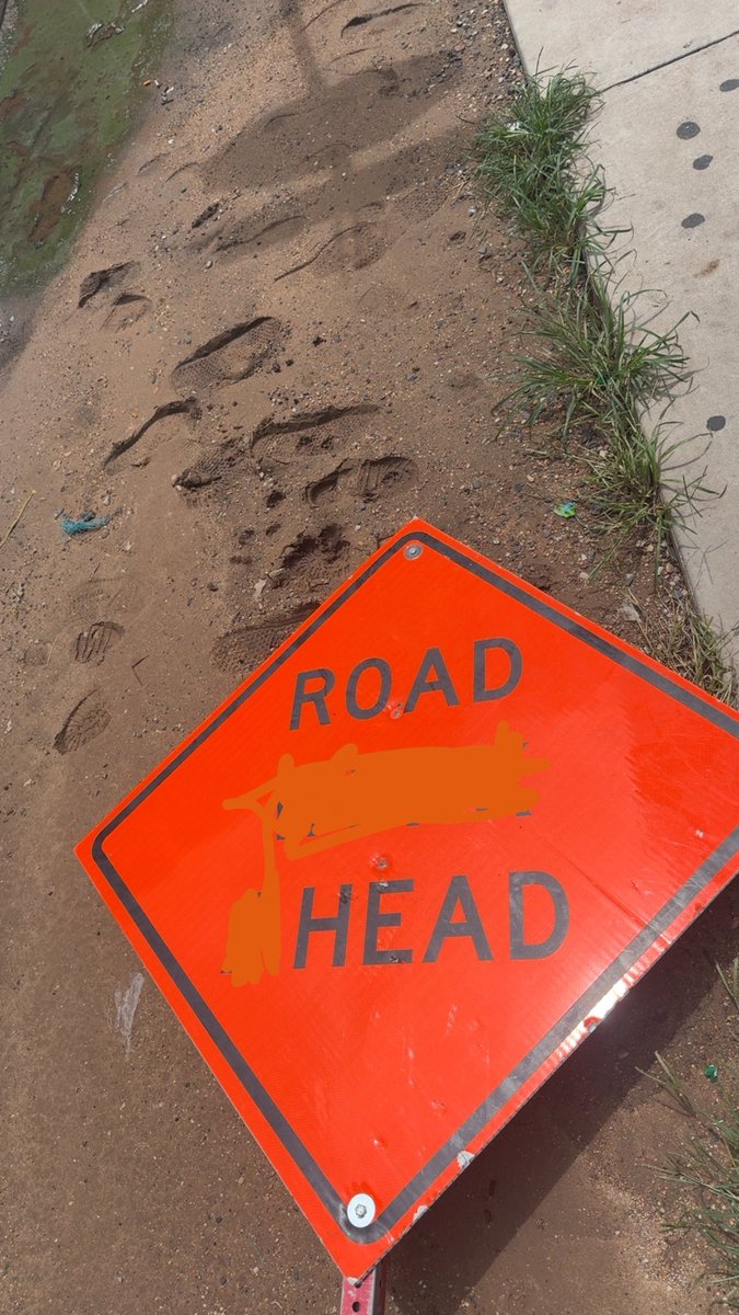 dougbies's tweet image. Isn’t nature beautiful?