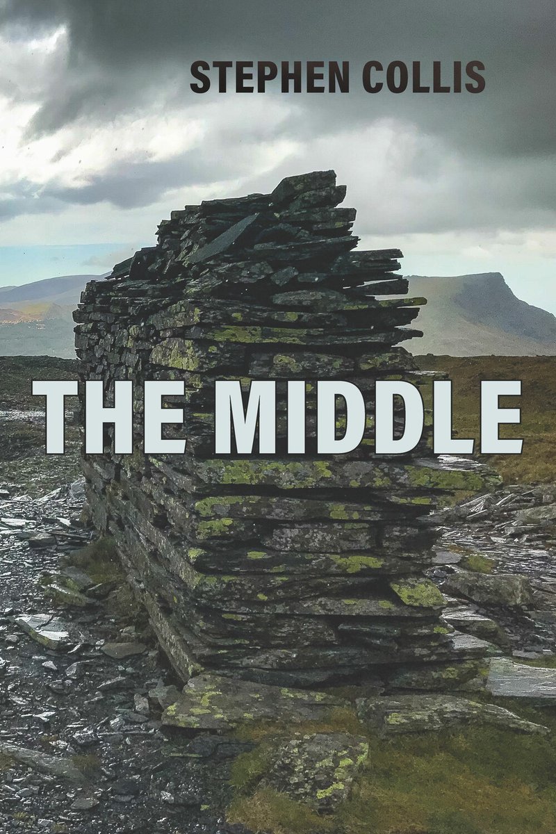 Talonbooks's tweet image. melanie brannagan frederiksen reviews The Middle in The Winnipeg Free Press!
winnipegfreepress.com/arts-and-life/…