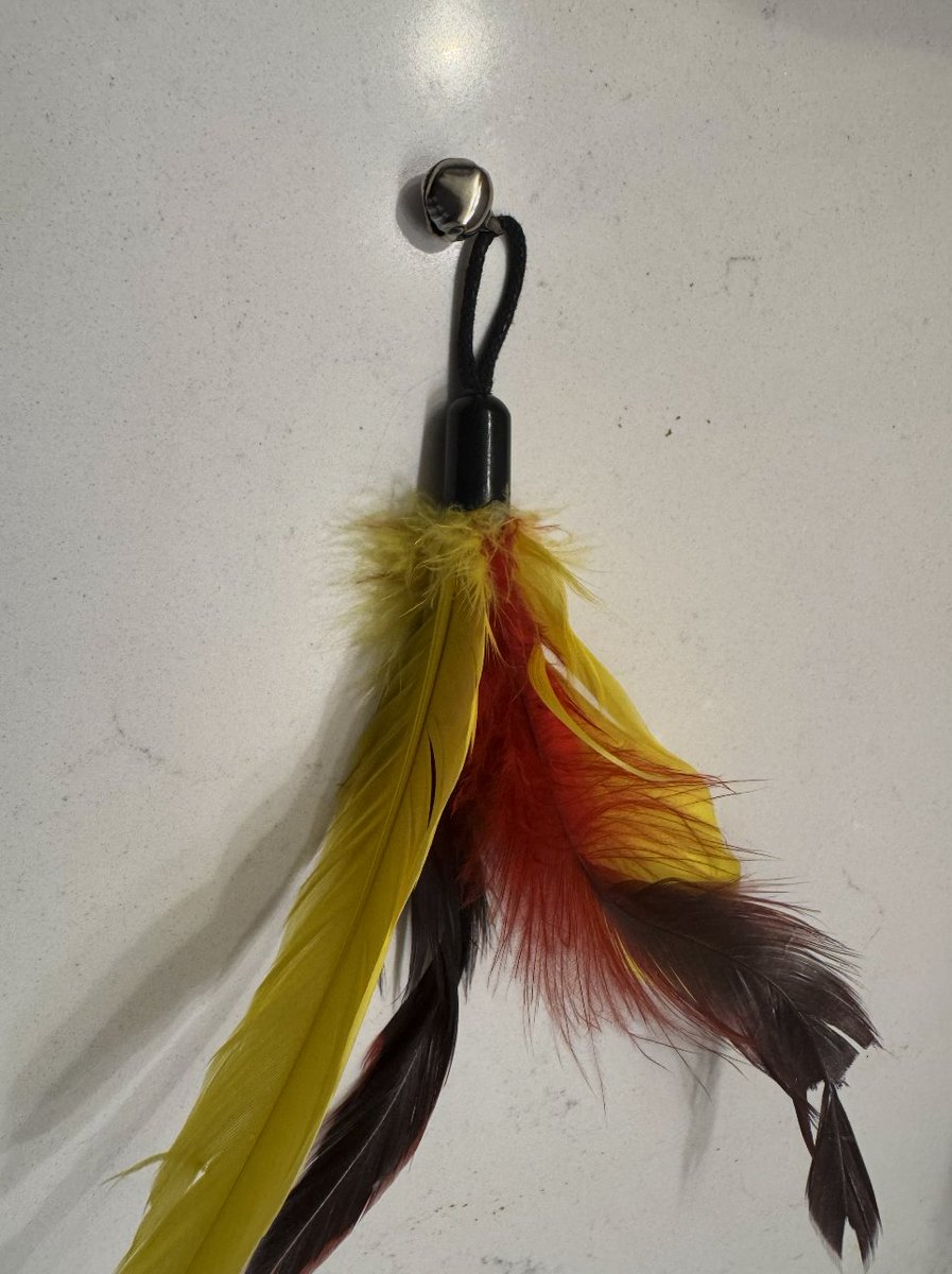 Mystery solved! 🕵️‍♀️🐾

Remember yesterday’s kitten with the small intestine obstruction that we removed via a simple enterotomy? Well, here’s what we found: a black rubber cap from a cat toy!

Glad to report this curious kitty is recovering well!