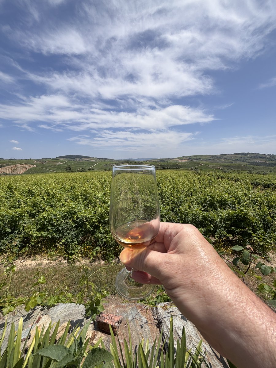 StuartRender's tweet image. 'A Taste of River Cruising' 
Day 6 on the Douro.
A relaxing morning cruising towards Regua, through yet more impressive scenery, and locks, before taking a coach to the Quinta da Avessada for lunch, with vineyards stretching in every direction.
@RivieraTravelUK 
@AGTOUK