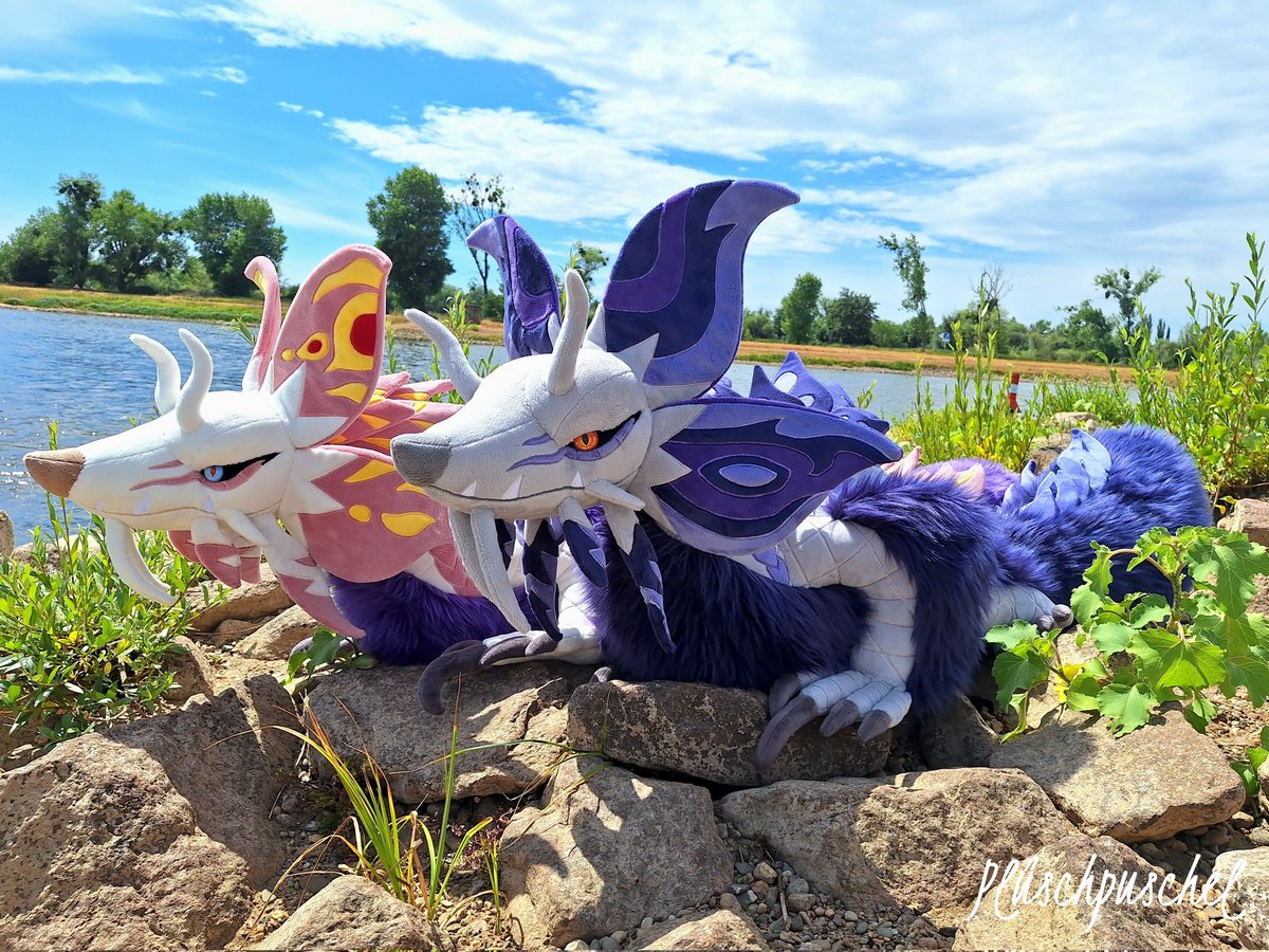 pluesch_puschel's tweet image. Finally pictures of the Mizutsune duo 🫧🦊
Big thanks to the owner of the violet Mizu for taking them with me 🫶
Size comparision soooon! 👀🤭