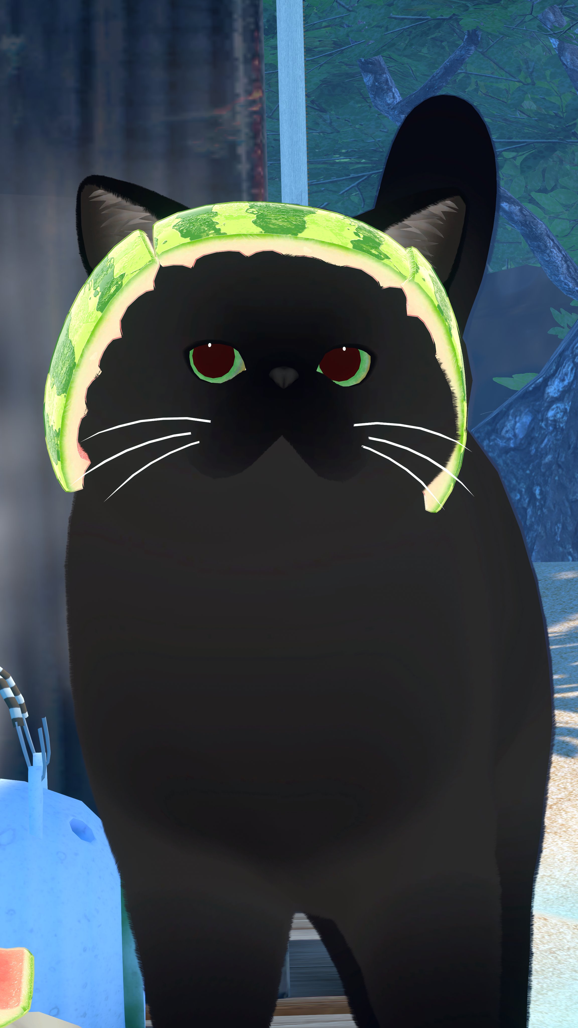 うさねこ様