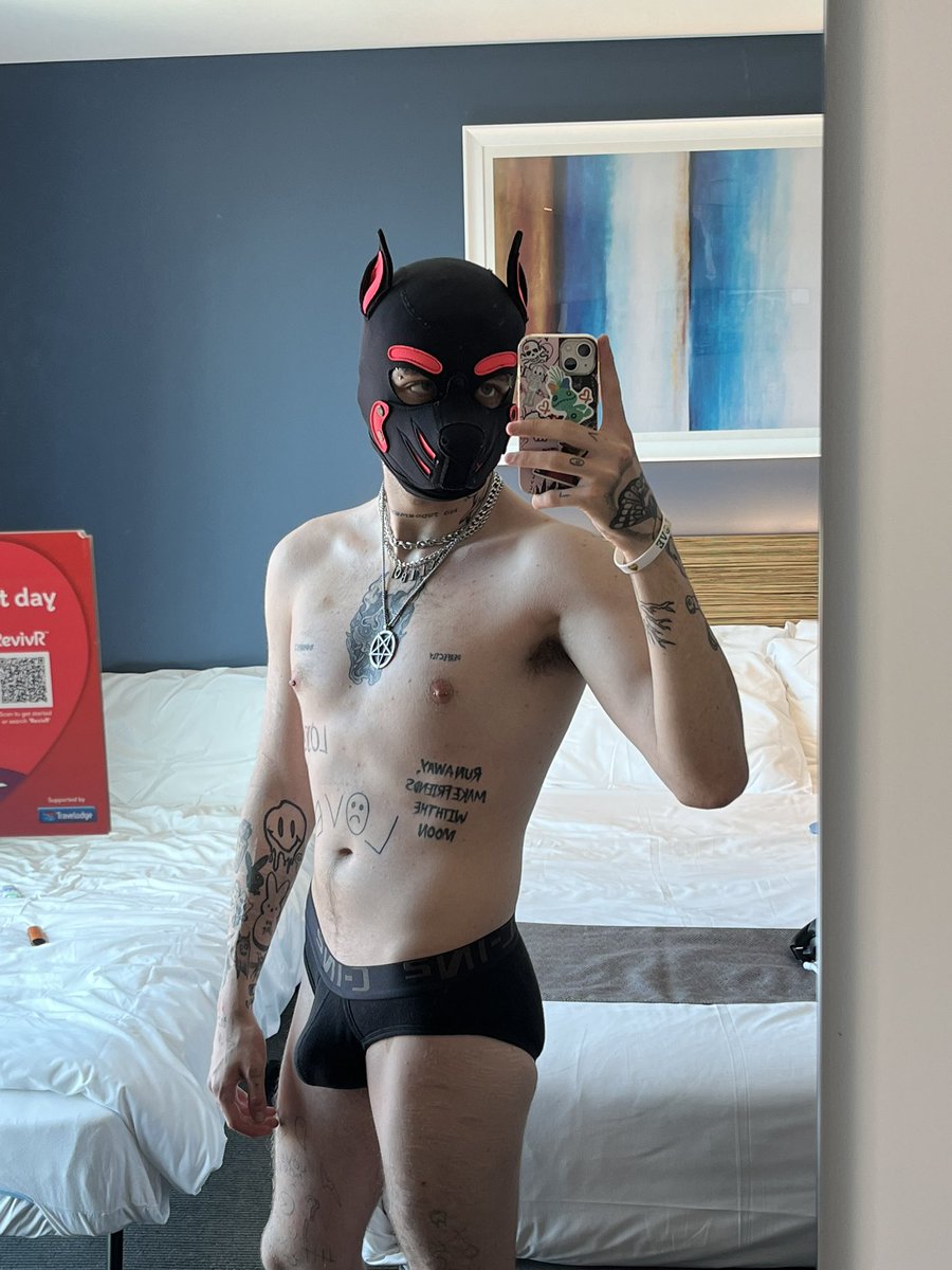 🖤 Pup Scruffy 💖 tweet media