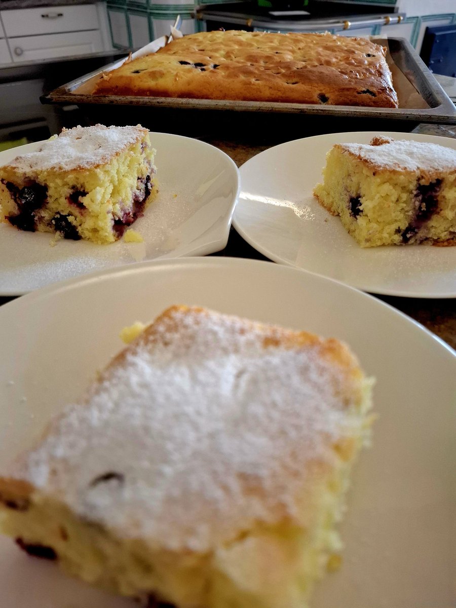 #Heidelbeer #Blaubeer #Blechkuchen

Brauchen Platz in der Tiefkühltruhe. Die neue Ernte steht vor der Tür... 🔵🔵🔵🔵