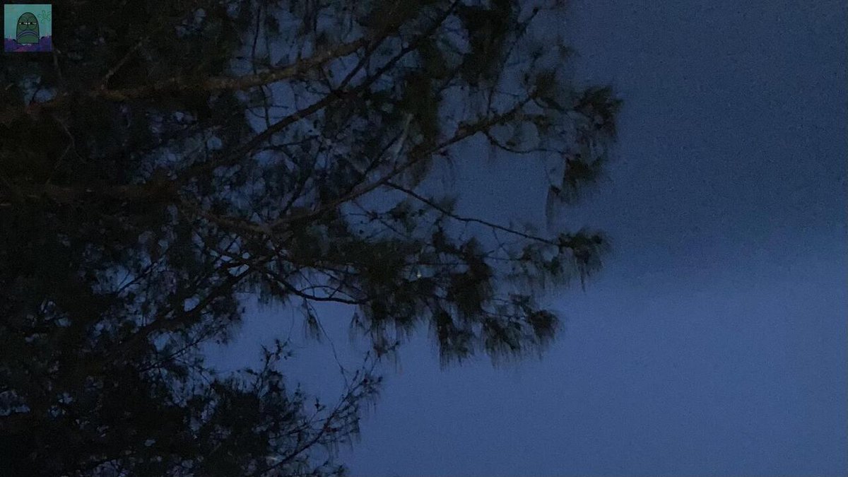 Tanyarl 💚 tweet media