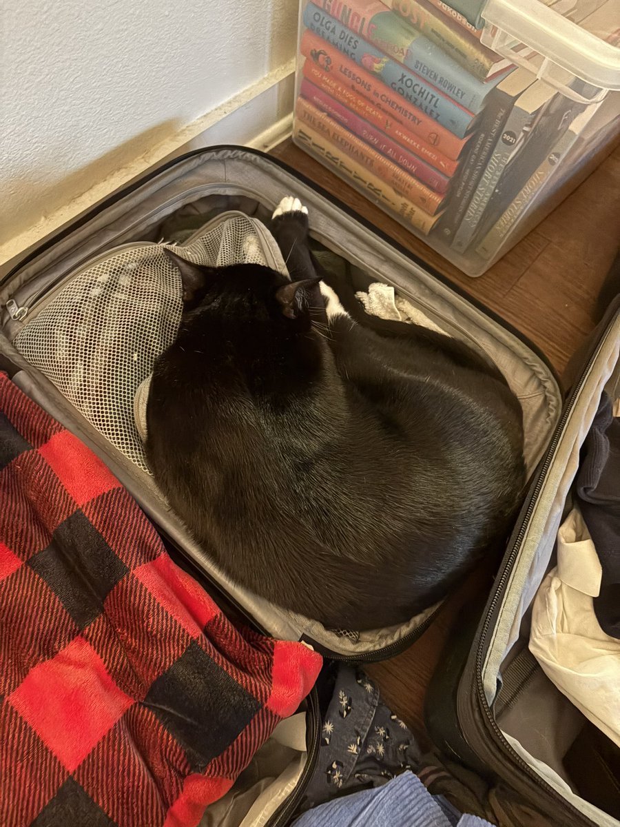 Don’t worry, Echo, I’m taking you with me