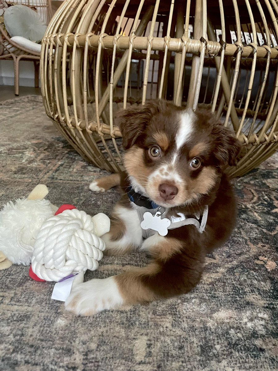 Lee 🦅 🇺🇸 tweet media