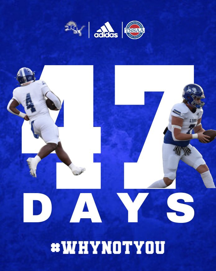 47 DAYS OUT ‼️🔥
Energy UP 💯 Grind ON 🏋️‍♂️ Pads Ready 🧨

#BankBUILT🦁
#WhyNotYou