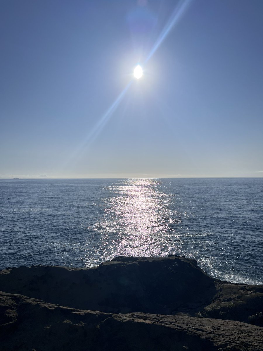 MetalGoddessJen's tweet image. I took my granddaughter’s pictures with me and showed her the ocean. I cried a lot.