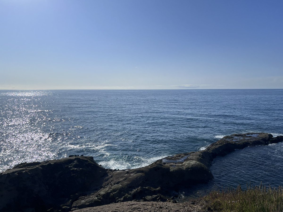MetalGoddessJen's tweet image. I took my granddaughter’s pictures with me and showed her the ocean. I cried a lot.