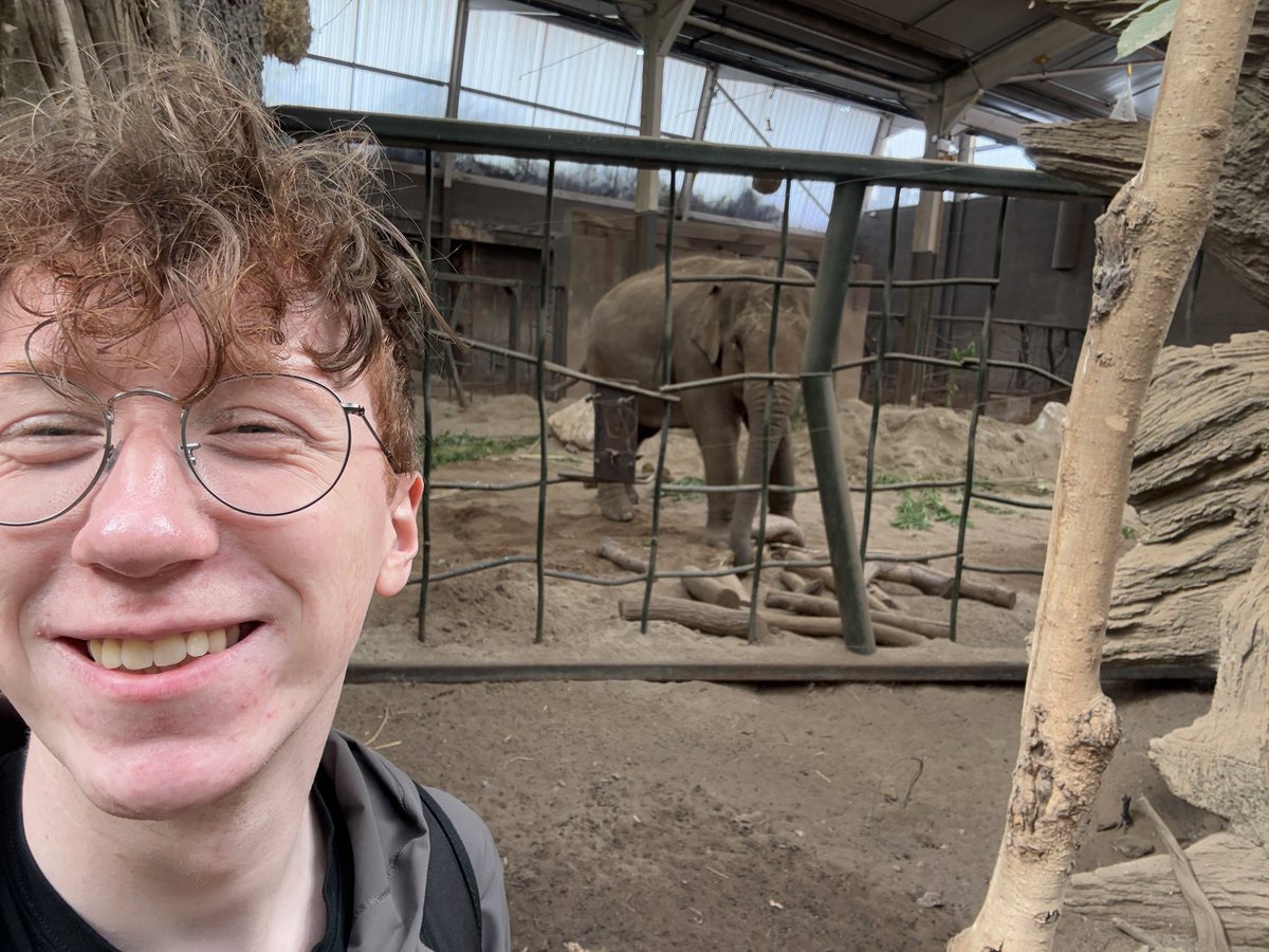 Patterrz's tweet image. Saw elephant