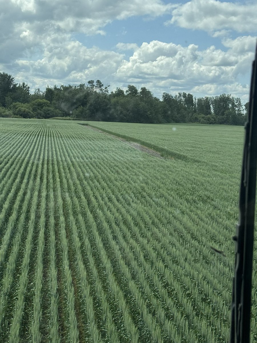 I think my cousin in cropped this piece when I was hauling grain so first time seeing it all year for me , anyone with a hawk have a section just randomly lift on a pass ? Or delay dropping for a few hundred feet ?  

No clue which direction I seeded it , but just a random miss