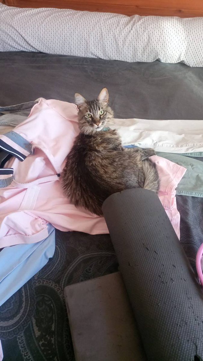 SE BUSCA

Se ha perdido hace unos 3 días  por la zona del Viso del Alcor, en Sevilla. Responde al nombre de Rosco.

Si lo veis, contactad al 691612833

Ayudadme a moverlo por favor, estamos desesperados.