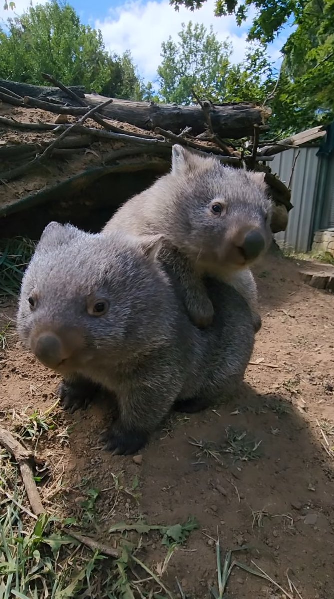 Me & Who? (@tagyourwho) on Twitter photo 