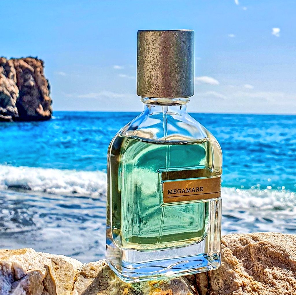 بالرغم من كونه عطر صيفي منعش

يعتبر اغلب الناس عطر ميغامار اقوى عطر بالعالم من ناحية الثبات والفوحان!