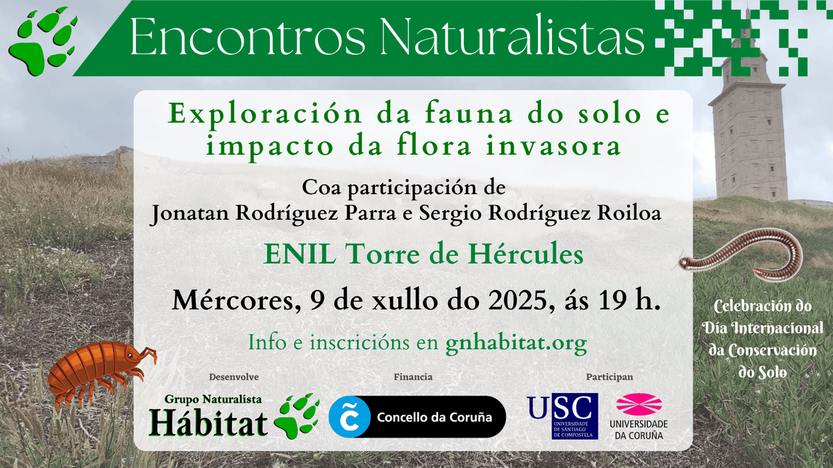 gn_habitat's tweet image. 🌱 O vindeiro mércores achegarémonos ao ENIL @torrehercules  para descubrir o mundo agochado baixo os nosos pés, vendo como organismos coma colémbolos, isópodos ou fungos, participan na formación do solo. Agardámoste!
Info e inscricións ➡️ bit.ly/4lHuCnl
@CorunaSostible