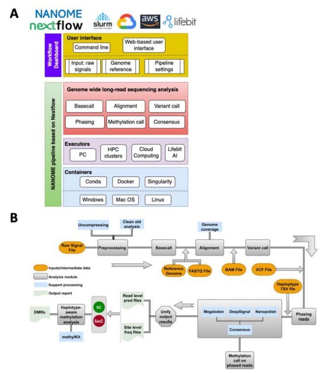 Javier Santoyo (@jsantoyo) on Twitter photo NANOME: A Nextflow pipeline for haplotype-aware allele-specific consensus DNA methylation detection by nanopore long-read sequencing. #DNAmethylationn #Nanopore #LongRead #Sequencing #Genomics #Bioinformatics <a href="/biorxiv_bioinfo/">bioRxiv Bioinfo</a>
biorxiv.org/content/10.110⦠NANOME: A Nextflow pipeline for haplotype-aware allele-specific consensus DNA methylation detection by nanopore long-read sequencing. #DNAmethylationn #Nanopore #LongRead #Sequencing #Genomics #Bioinformatics <a href="/biorxiv_bioinfo/">bioRxiv Bioinfo</a>
biorxiv.org/content/10.110ā¦