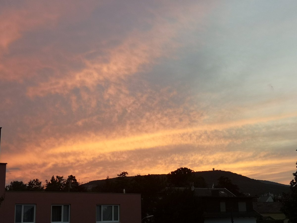 Gute Nacht liebe Freunde 💛

Image by Mikalin