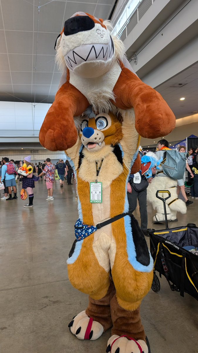 AC_Shock17's tweet image. POV: You are about to have a very large plushy thrown at you