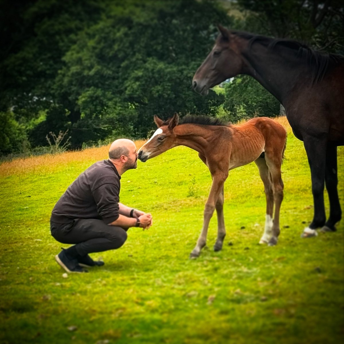 Jamie Anderson (@imjamieanderson) on Twitter photo Hello, Brian! 🥰 🐴 Hello, Brian! 🥰 🐴