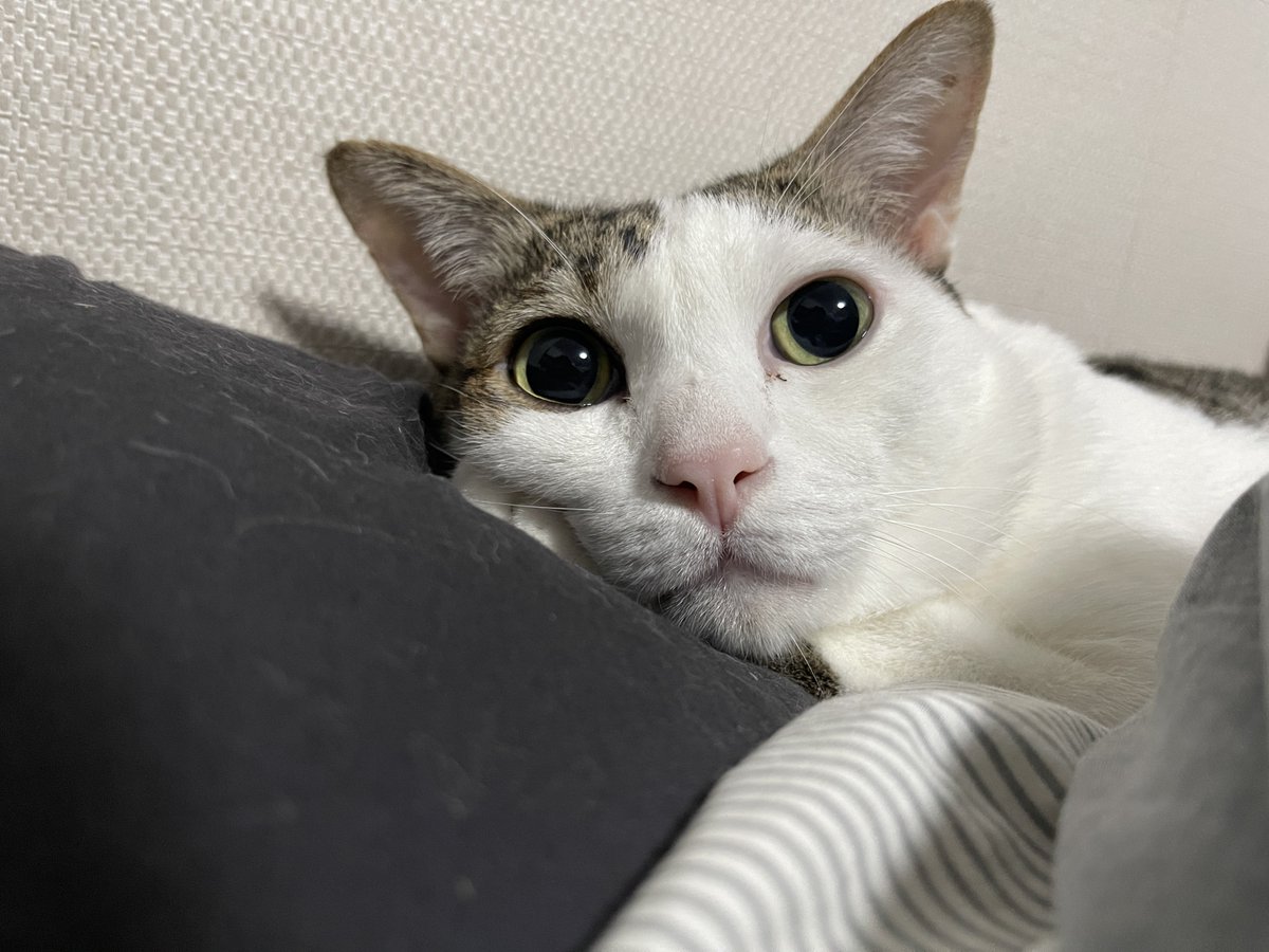 พี่เครียดไรคั้บ