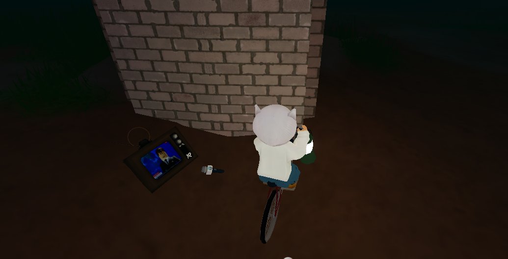 icoleei's tweet photo. Someone threw their TV @heybloxburg https://t.co/cLULR9YXkH