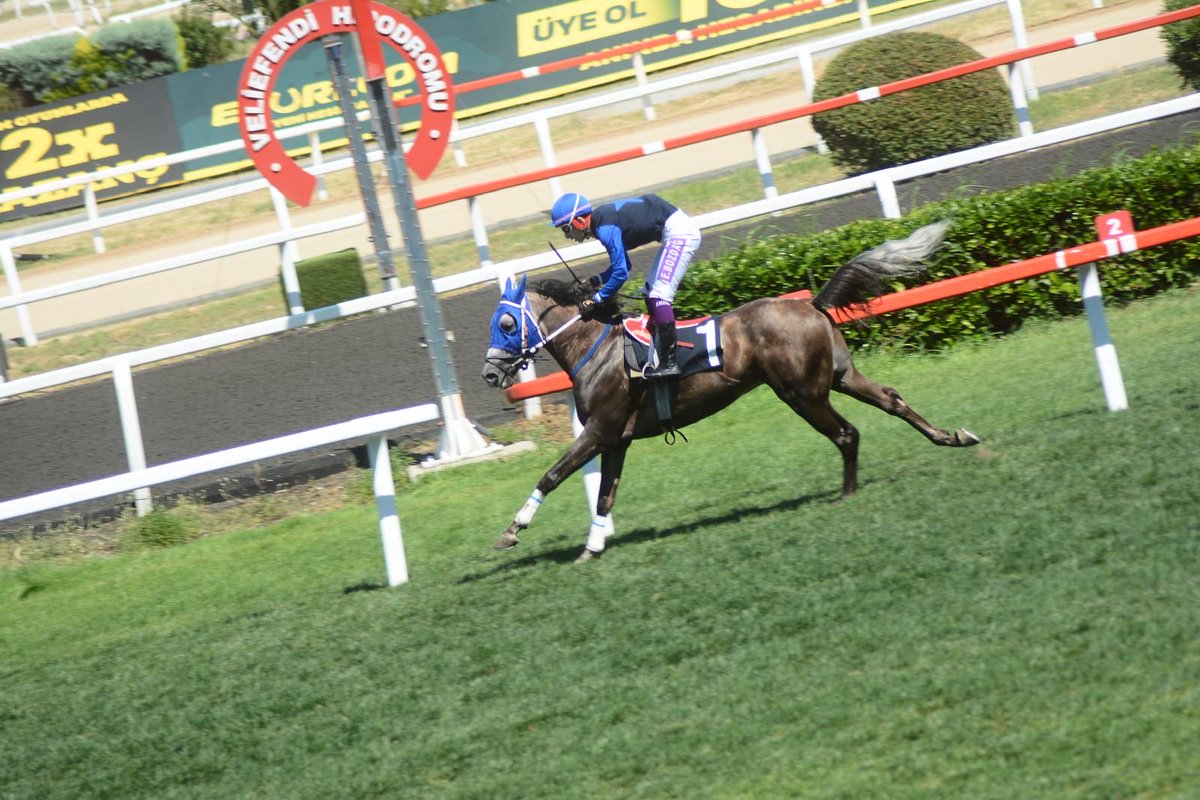 Bu gün İstanbul’da yapılan yarışlarda ekürimizin safkanları”Power Of Hakeem
ile”Tahayyül”koşuları birincilikle tamamlamıştır.
Tüm ekibimizi ve jokeylerimiz E.Cankılıç ile E.Bozdağ’ı tebrik eder başarılarının devamını dileriz.

#Müslüm Örtünç 

⁦<a href="/murataktas4444/">Murat Aktaş</a>⁩