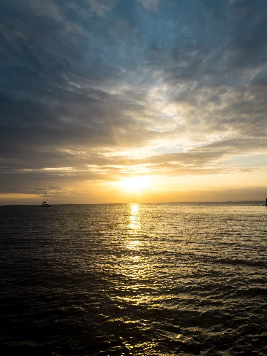 Lmax97's tweet image. The kids yearn for Lightroom. Shot raw on iPhone 12/15