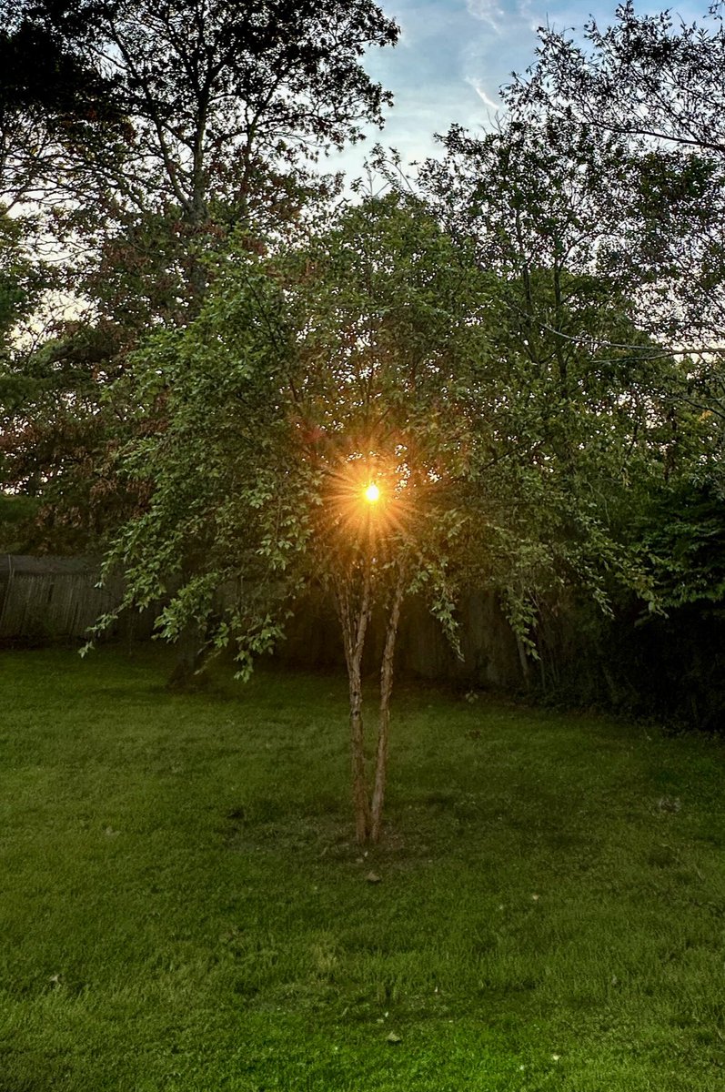 lightand_life's tweet image. These surprises always make me smile. 
#mashpee #capecod