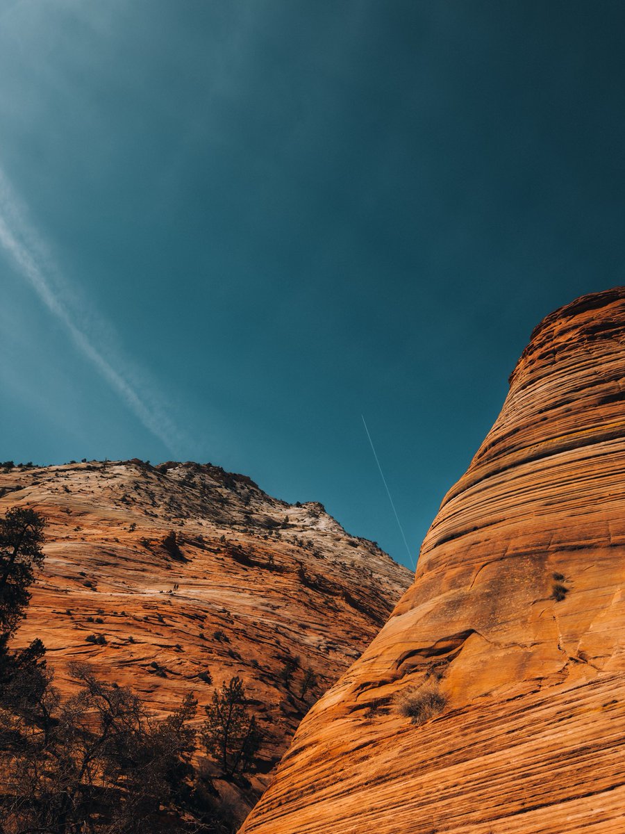 Lmax97's tweet image. The kids yearn for Lightroom. Shot raw on iPhone 12/15