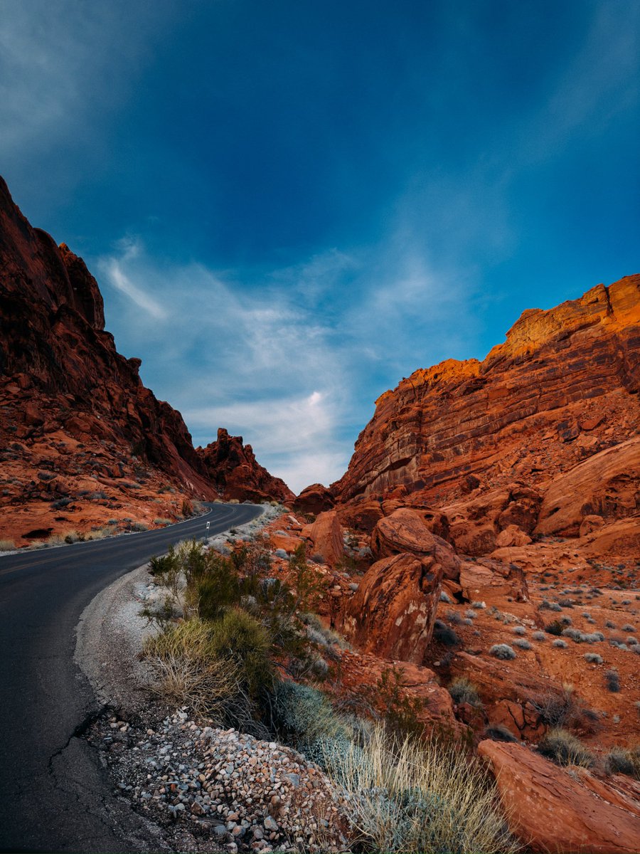 Lmax97's tweet image. The kids yearn for Lightroom. Shot raw on iPhone 12/15