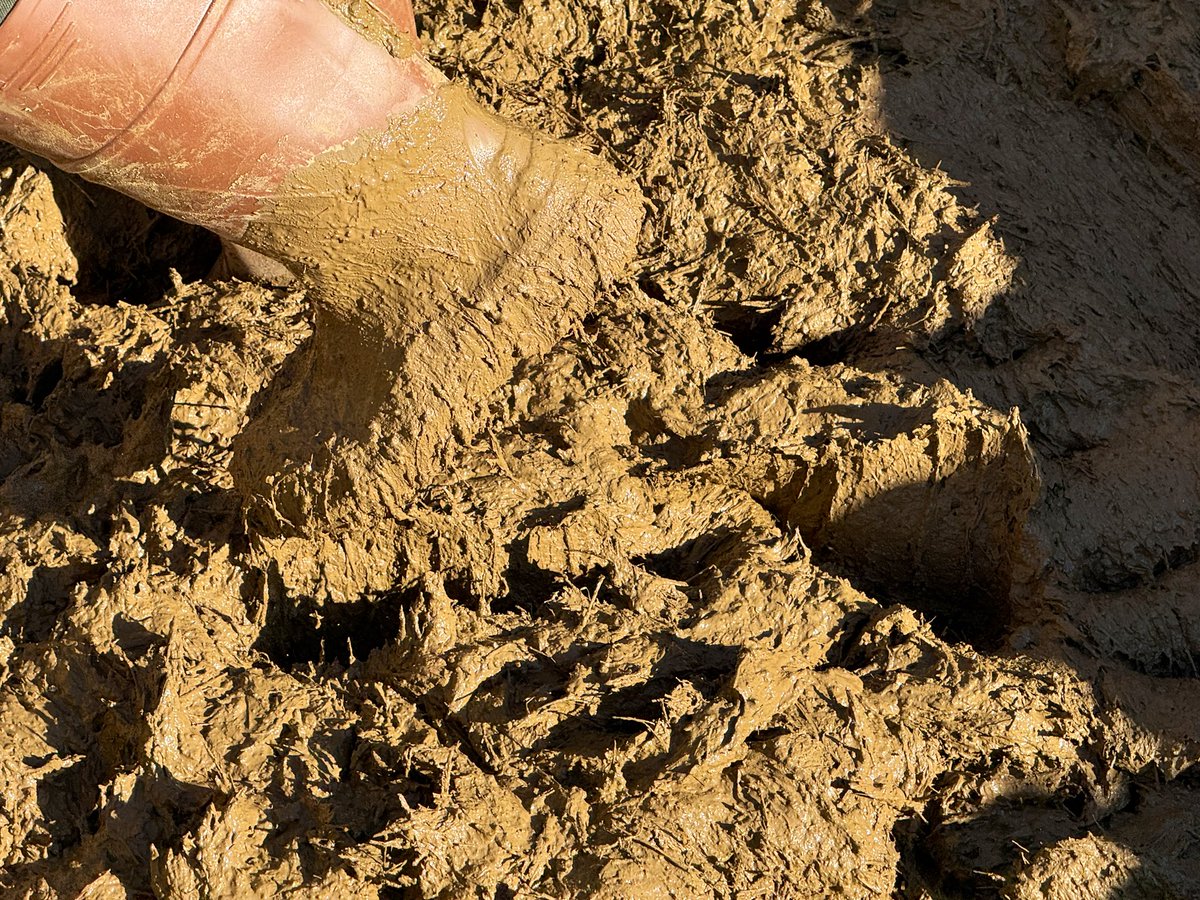 Evimiz için üretimde yeni bir aşamadayız.

Sansarak’ta yaklaşık 45 yıl önce terk edilen kerpiç yapımını, Mesken ile birlikte yeniden hayata geçirdik.