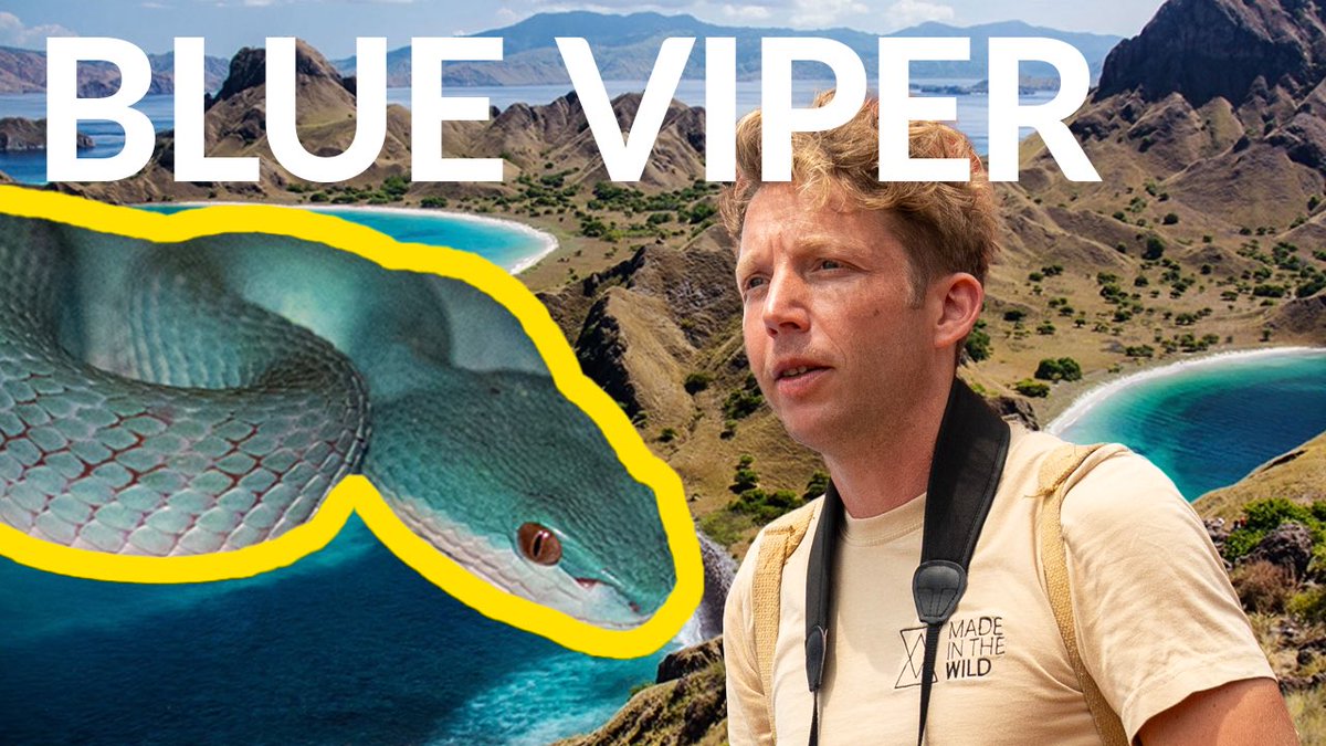 Jack Randall tweet media