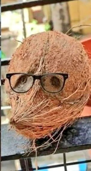 pratyushkkhare's tweet image. सेल्फी सभ्यता में Pout #Selfie की शुरुआत यहीं से हुई 😎😂😂
#pout 
#SelfieTime 
#humor
#viral
#laughter