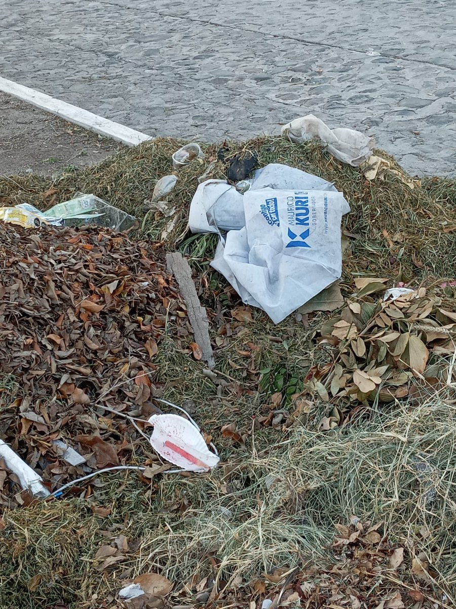 Tanta basura en la calle y en el gobierno de Querétaro tienen rostro y nombre.
Es necesario que ya se larguen!