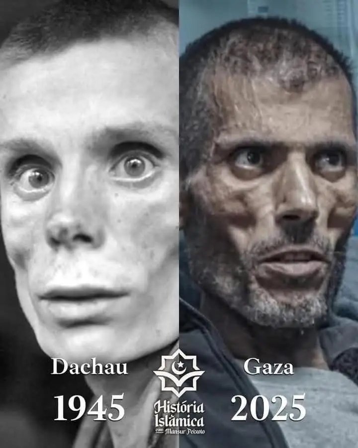 Lostinpit1's tweet image. Los nazis de ayer son los sionistas de hoyβΌοΈ