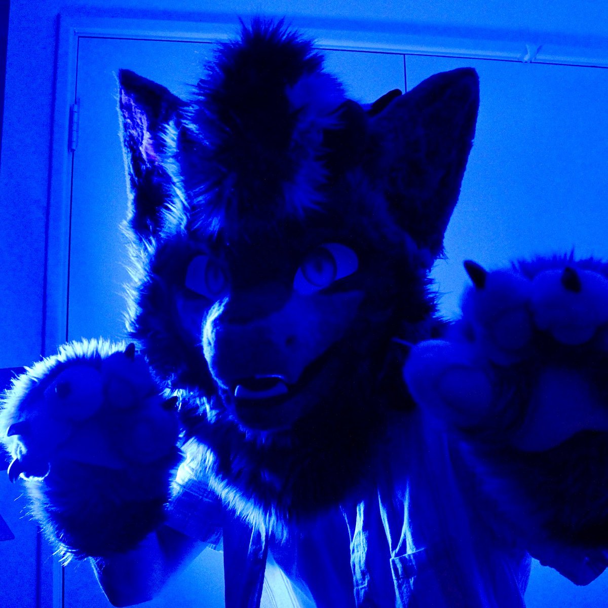 ChaoticEclipse_'s tweet image. Rraaawwrrr!! Look how scary this guy is !!