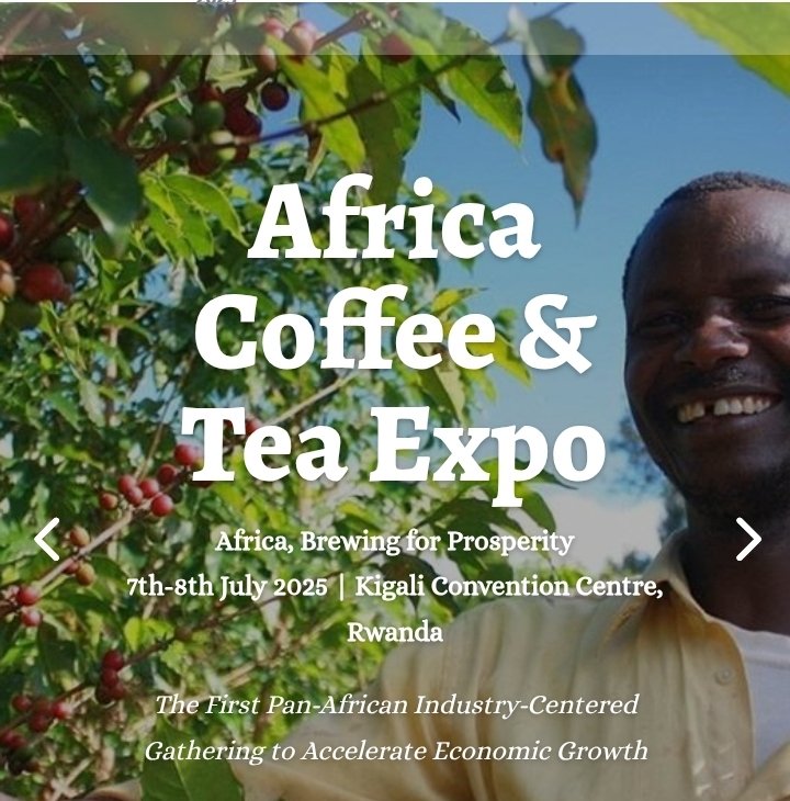 GorillasCoffee_'s tweet photo. First of its kind #AfricaCoffeeTeaExpo2025 Kicks off in a few hours.
Never miss out on Gorilla's Coffee, freshly roasted in Rwanda -The land of a thosand hills.
#Rwanda #GorillasCoffee #ForTheWorld https://t.co/oJkbcg24vj