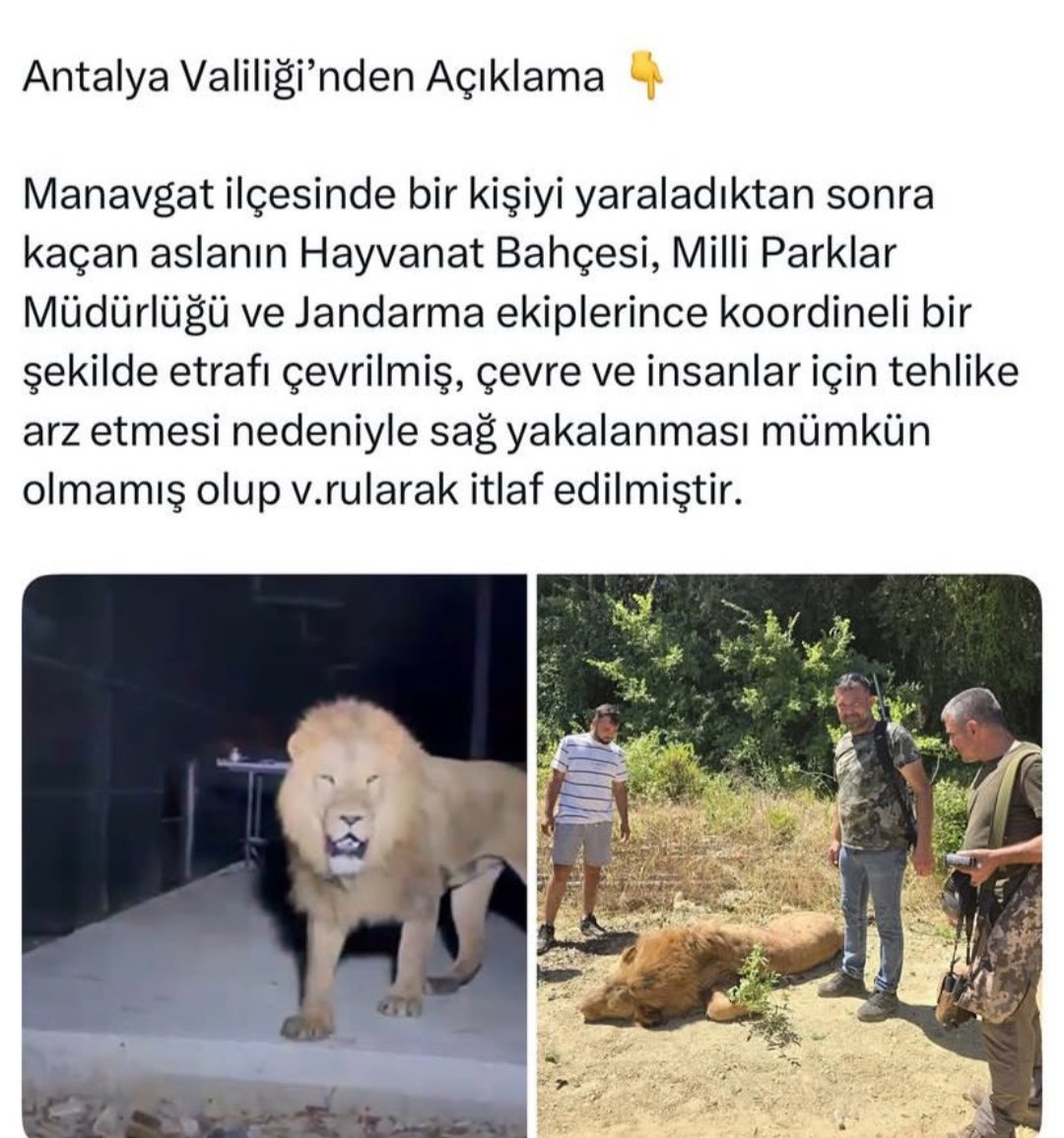alatbeyy's tweet photo. Hayvanı,ta Afrika'dan tut Antalya'ya getir kafesten kaçtı diye vur öldür sonra iyi bir halt yemiş gibi fotoğraf çektir.Bu hayvana attığınız kurşun yerine,uzman ekiple  bayıltıcı iğne atılması nasıl mümkün değildi mesela ?  #öldürmüşler https://t.co/xShmu4PnVS