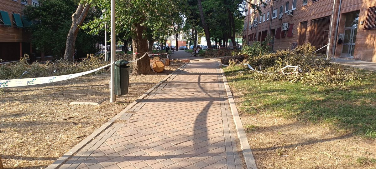 📸 Así lleva toda la semana esta zona: árboles talados, ramas por el suelo y cinta por todas partes. 🪵🚫
Inacción y abandono por parte del Ayuntamiento. ¿Hasta cuándo?