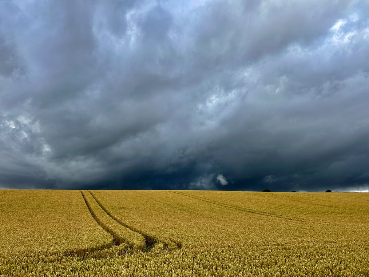 WeatherWolds's tweet image. Thunderstorms. 17°C and some heavy rain on the Wolds. Dragonflies.