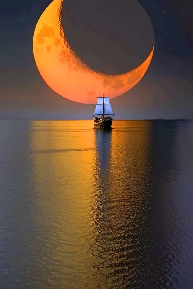 🌜

Good night friends...