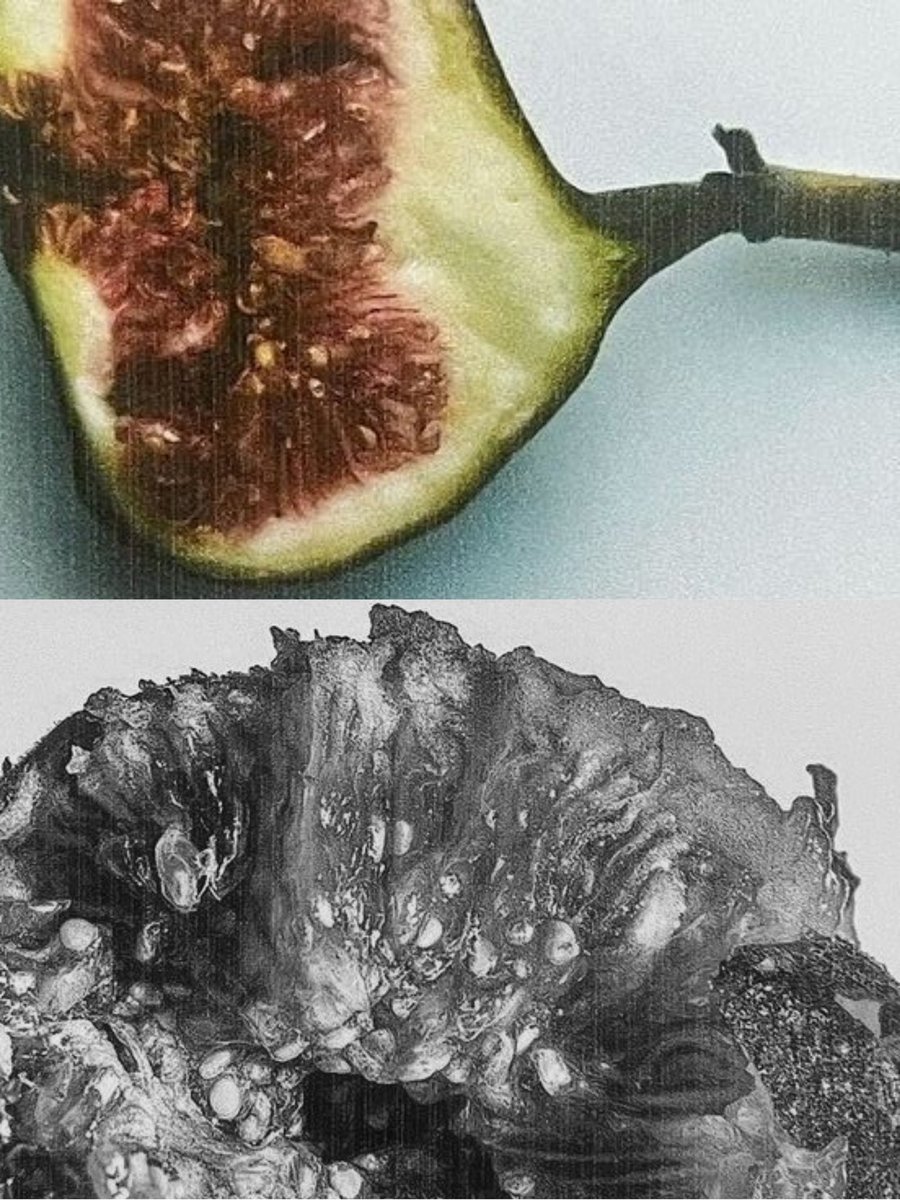 ᅠᅠ꒰⁠   ۪   夏     ꒱   🌟   ⌢       .۫       ✿      ⊹